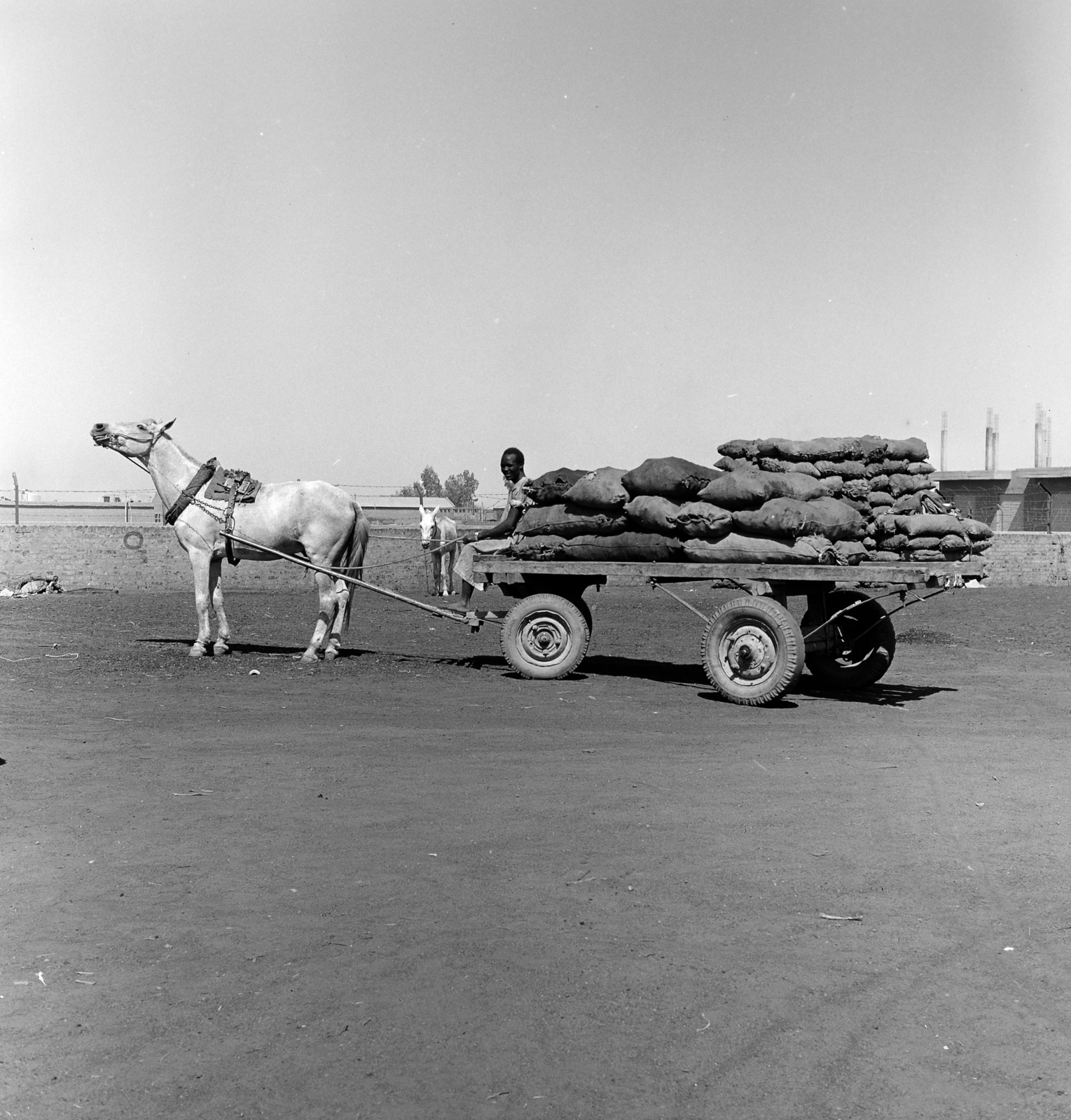 Republic of the Sudan, Khartoum, 1978, Gerely Ferenc, charcoal, Fortepan #272413