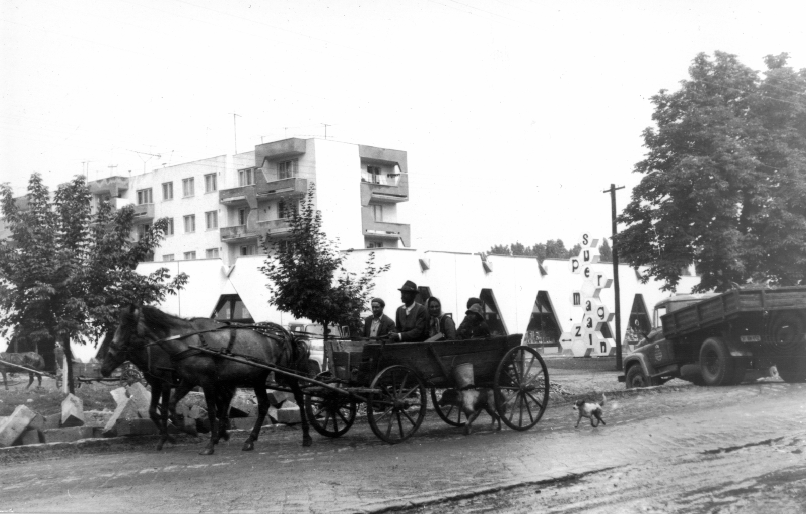 1972, Hadházi Zsófia, chariot, Fortepan #272445