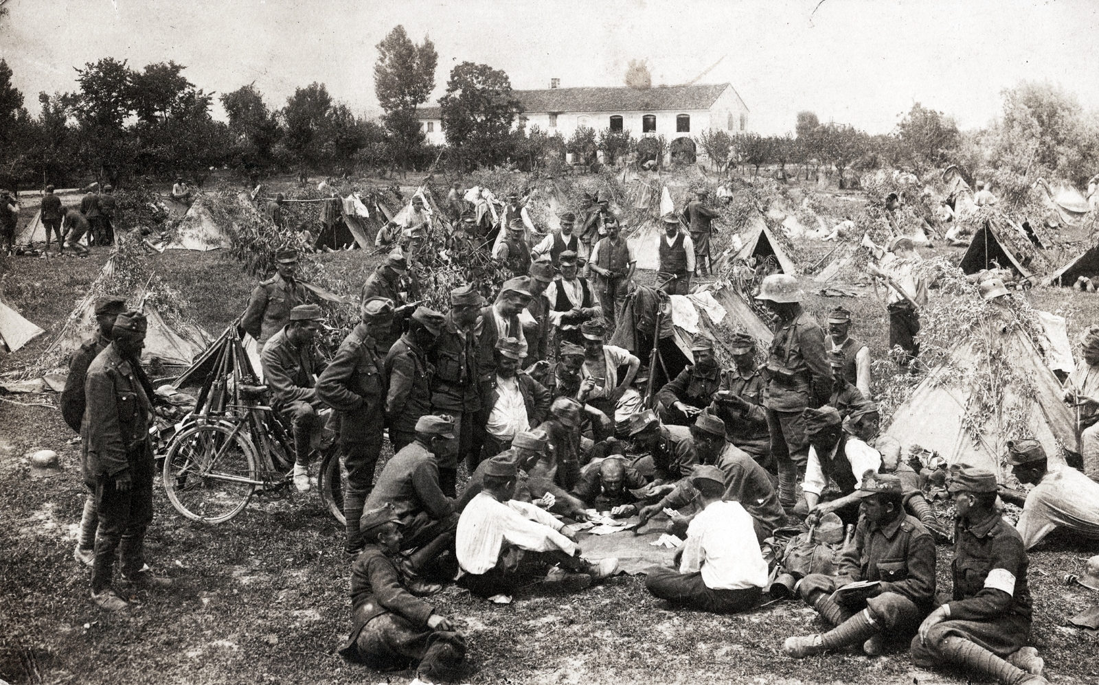 1914, Keresztesi Péter, katona, sátortábor, kártyajáték, karszalag, álcázás, első világháború, Fortepan #272599