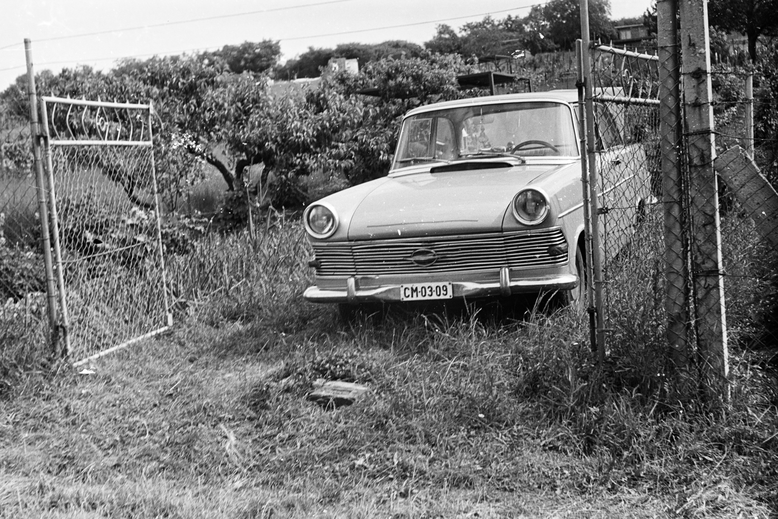 1972, Reiter István, Best of, number plate, Fortepan #272786