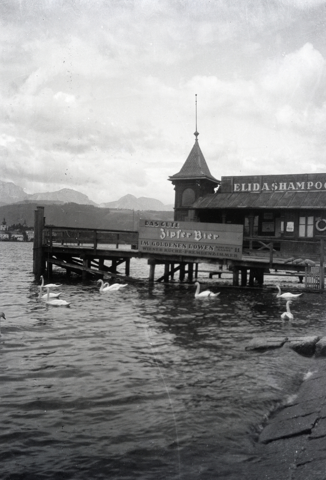 Ausztria, Gmunden, Traunsee, kikötő., 1931, Fortepan/Album085, hattyú, Fortepan #272861