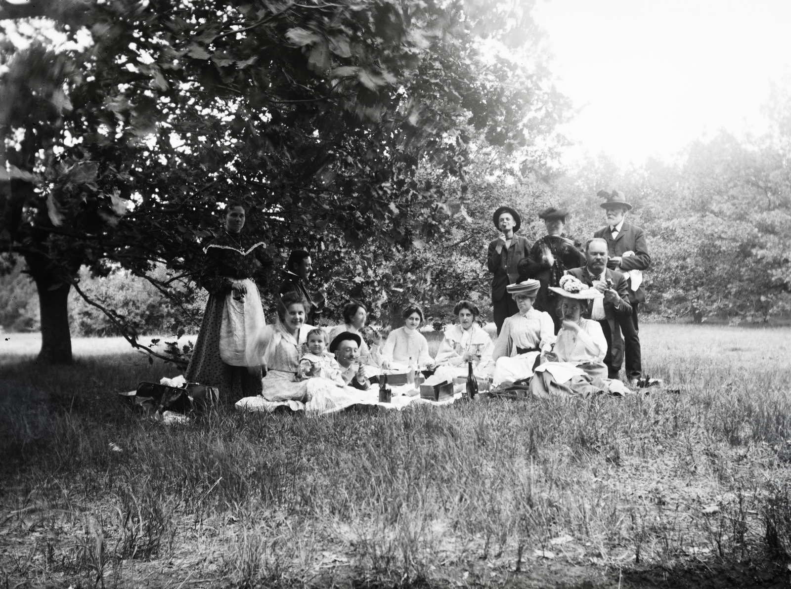 1909, Flanek-Falvay-Kováts, kirándulás, piknik, Fortepan #272899