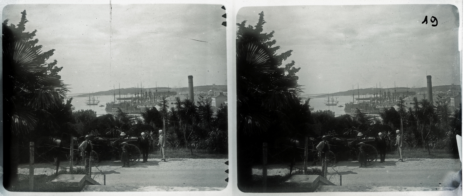 Croatia, Pula, az Osztrák-Magyar Monarchia haditengerészetének kikötője., 1900, Schoch Frigyes, sailboat, Horse-drawn carriage, warship, coach, palm tree, port, steamboat, stereophoto, Austro-Hungarian Empire, Fortepan #27299