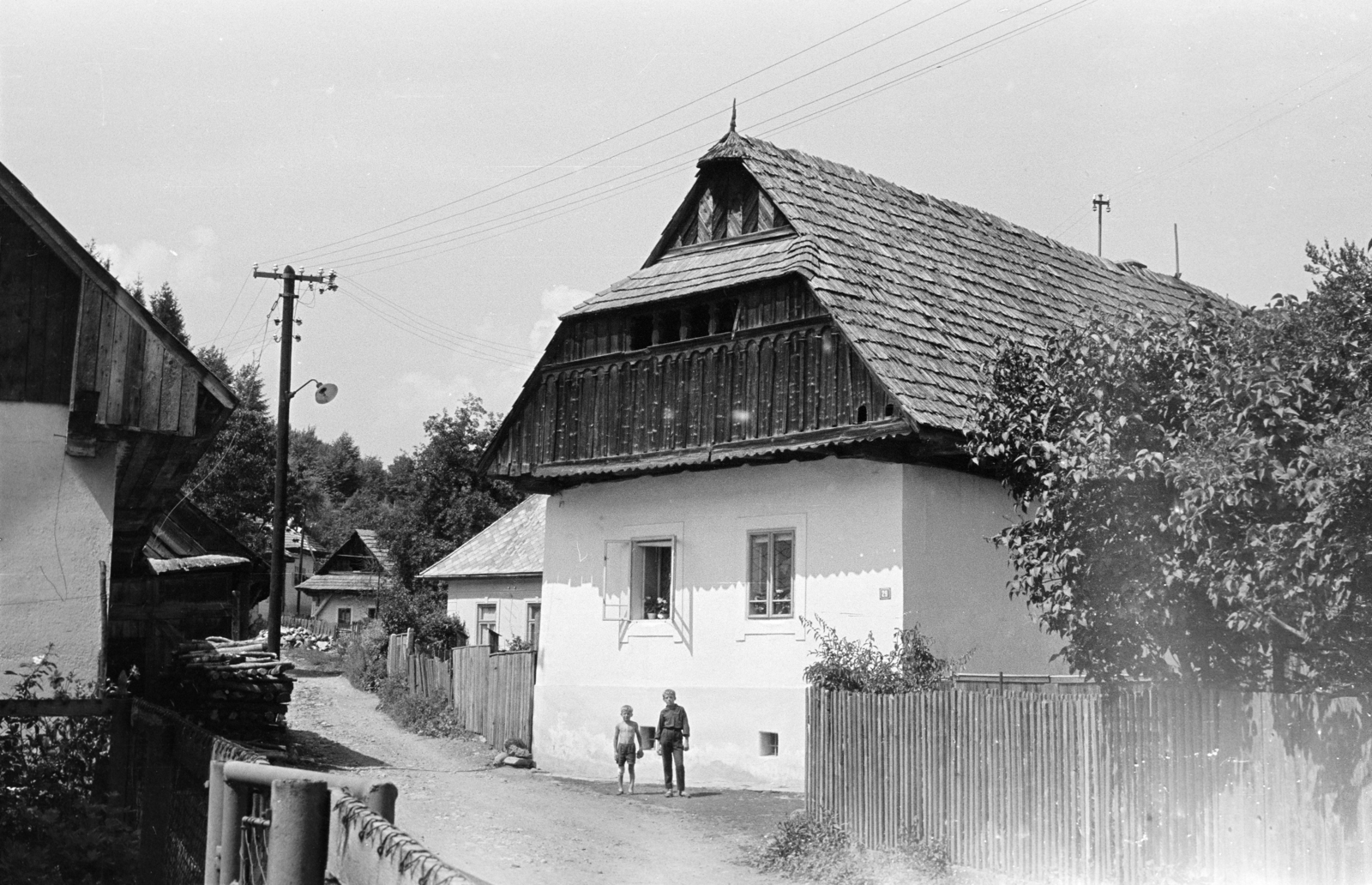 1963, Schermann Ákos, Schermann Ákos, Fortepan #273002
