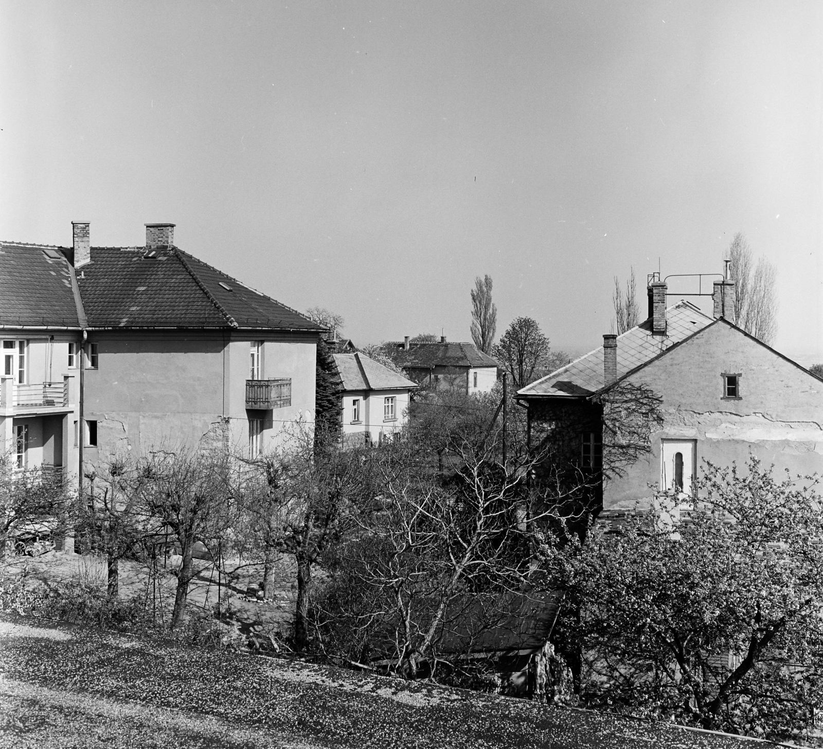 Hungary, Budapest XI., kilátás a Törcsvár utca 6/b számú ház tetejéről, balra a Törcsvár utca 2., jobbra a Cenkhegy utca 9. számú épület látható., 1971, Schermann Ákos, Budapest, Fortepan #273056