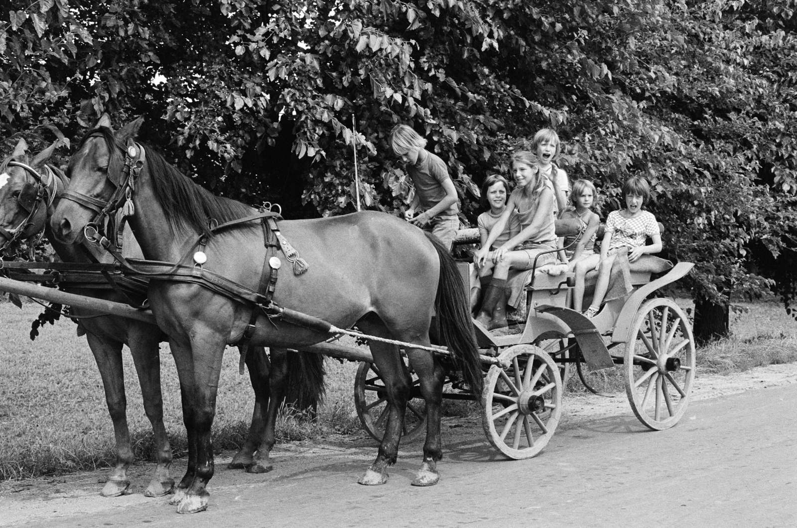 1976, Schermann Ákos, coach, kids, Horse-drawn carriage, Fortepan #273086