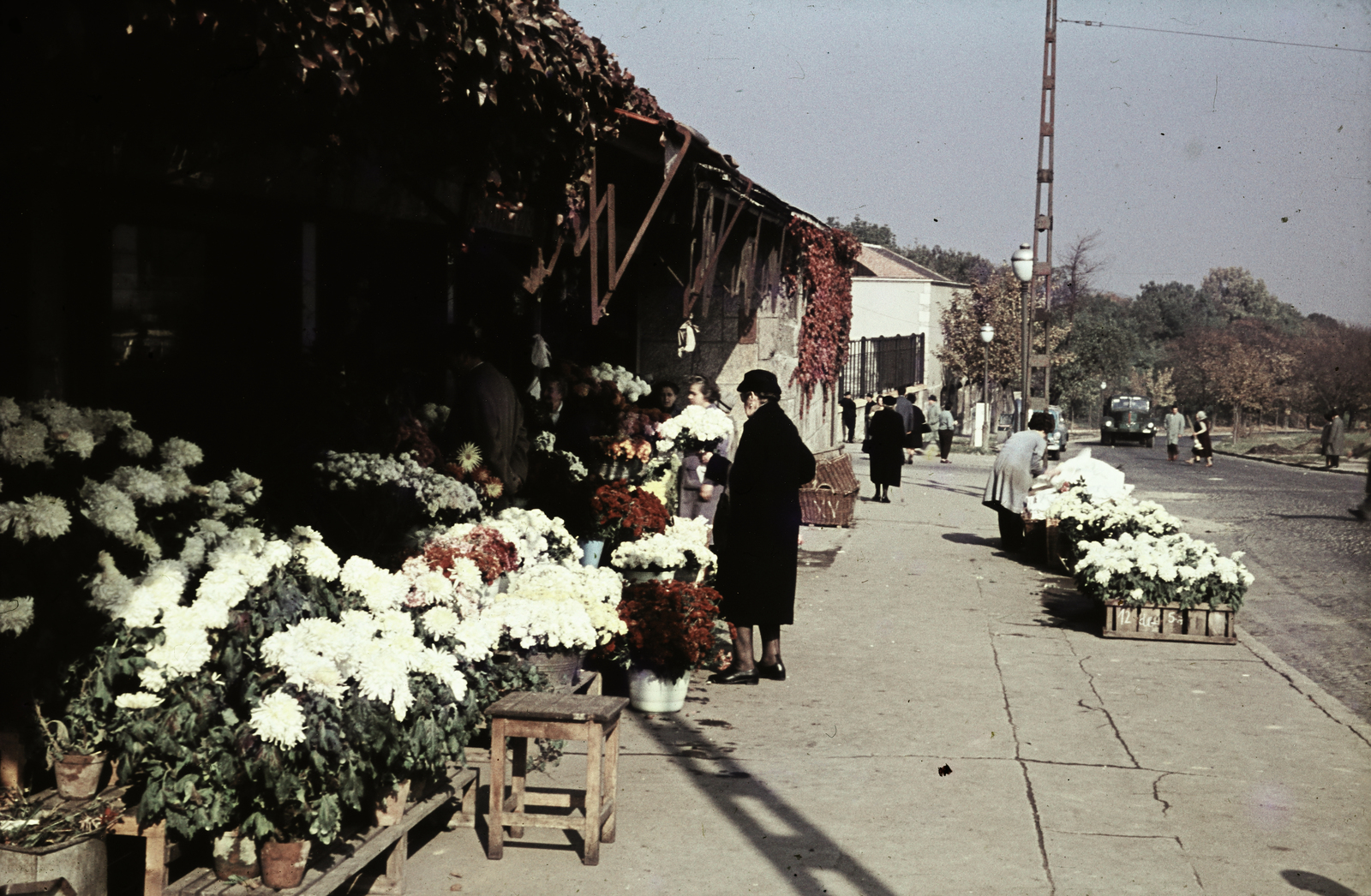Magyarország, Budapest XII., Németvölgyi út, virágárusok a Farkasréti temető bejáratánál, 1963, Schermann Ákos, Schermann Ákos, Budapest, Fortepan #273127