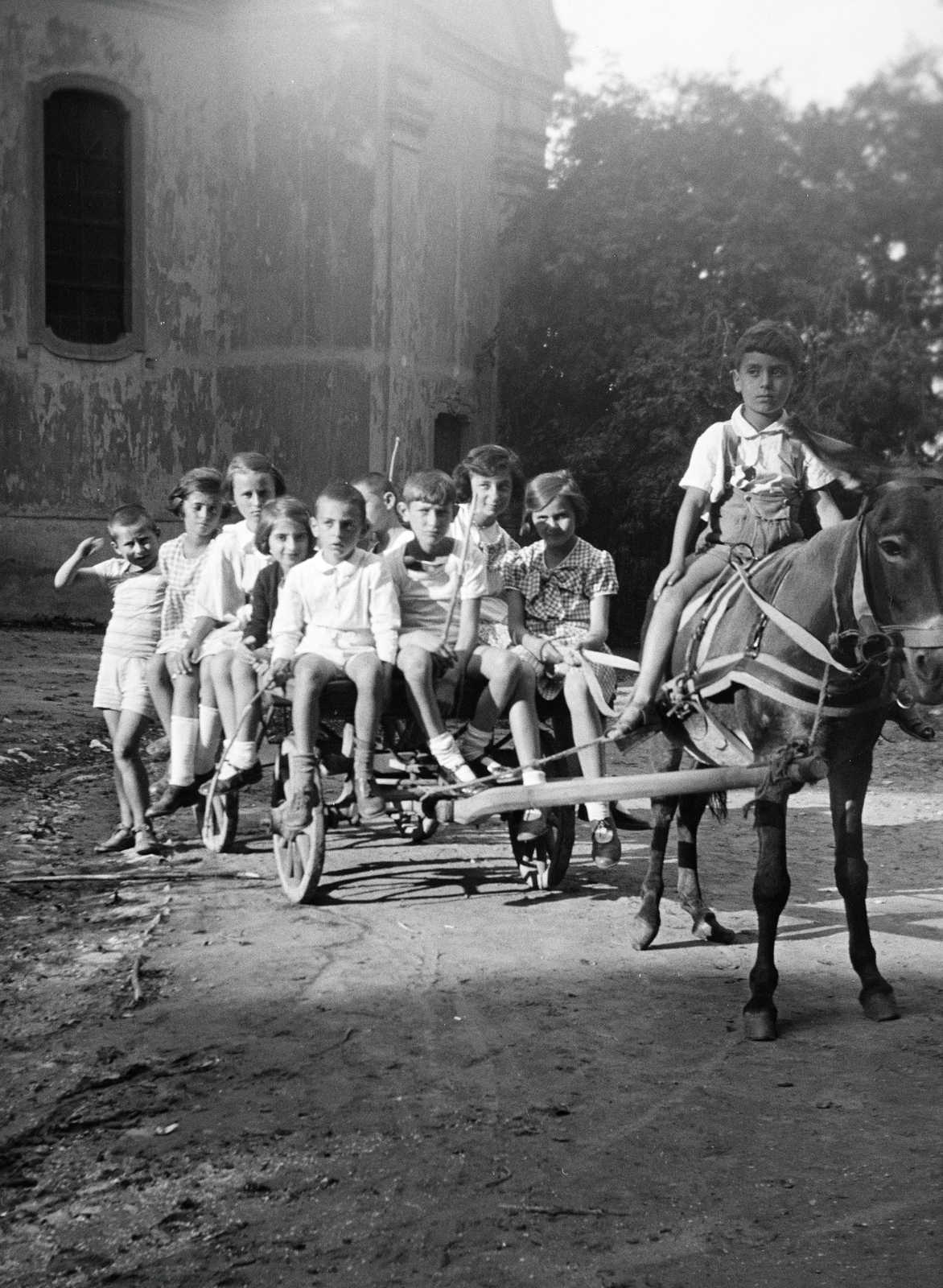 1937, Ladinek Viktor, kids, donkey, cart, Fortepan #273212