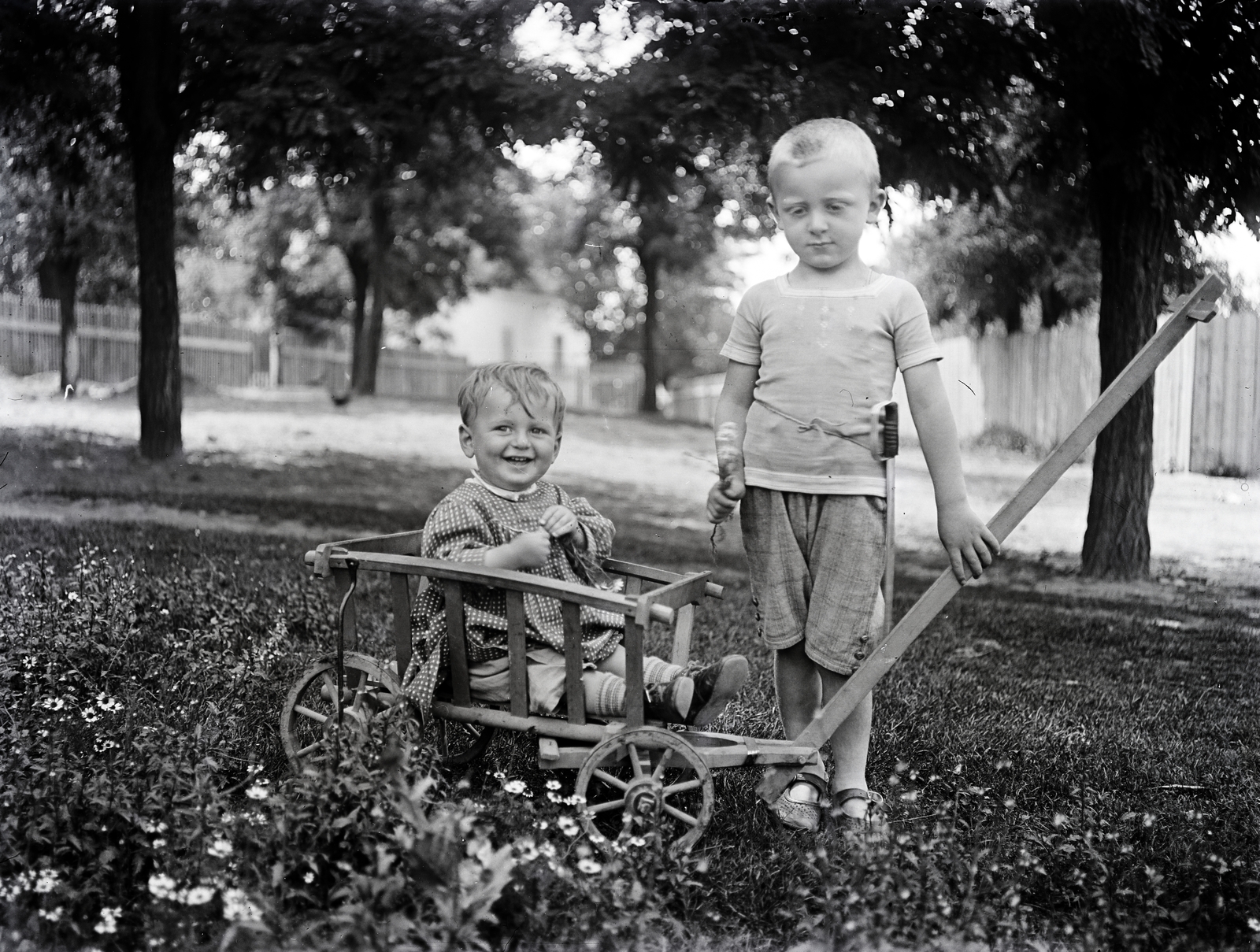 1934, Ladinek Viktor, cart, Fortepan #273215