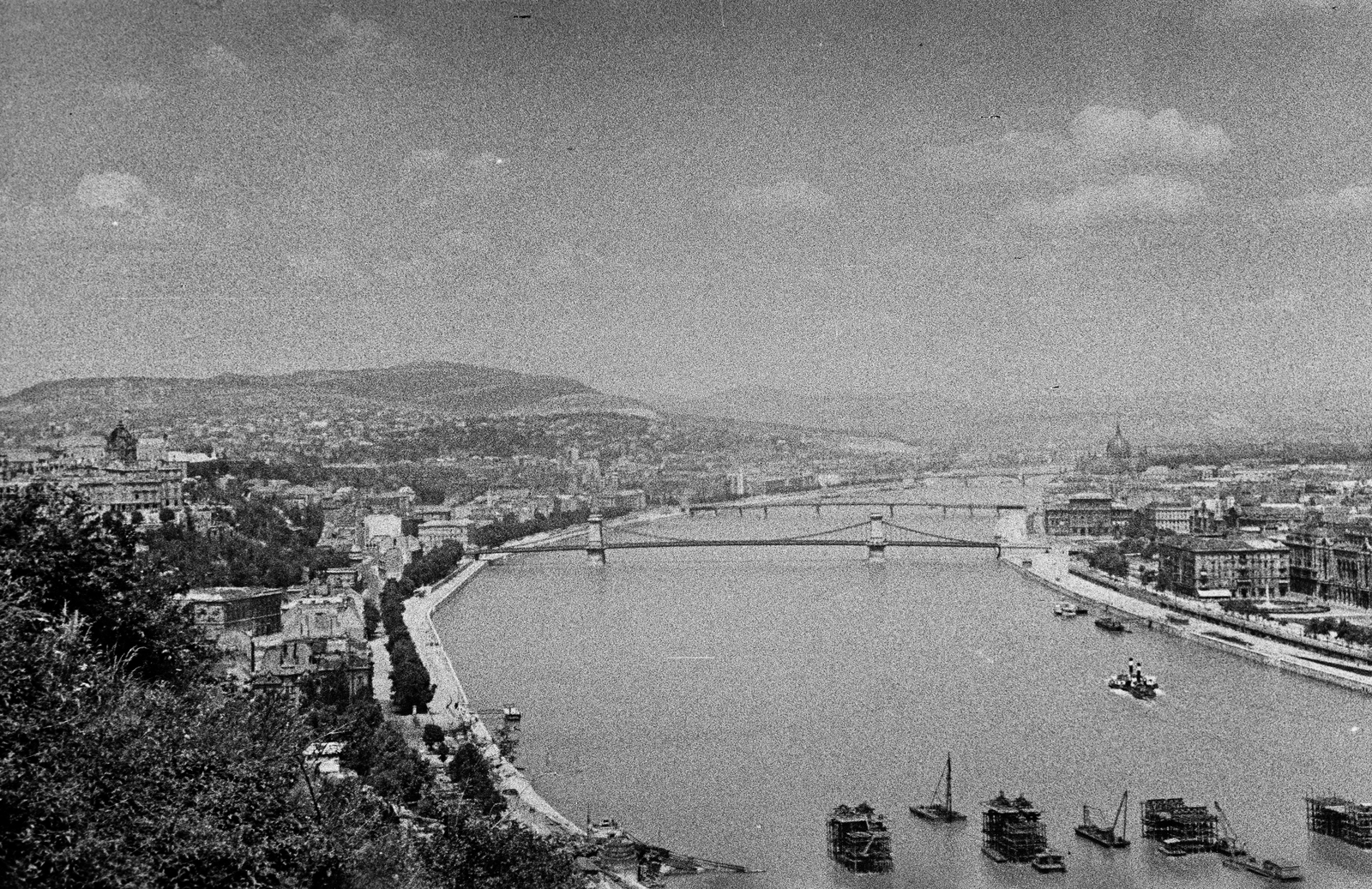 1950, Kern család, picture, Danube, Fortepan #273397