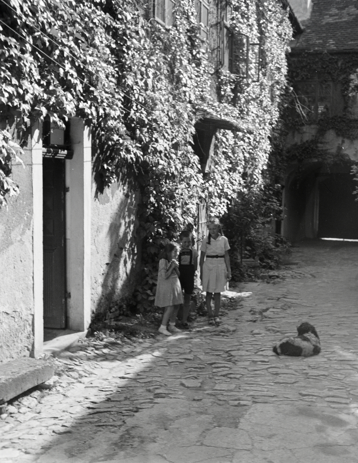 Hungary, Sopron, Bécsi út, a felvétel a 24-es számú ház udvarán készült., 1940, Vargha Zsuzsa, yard, Fortepan #273460