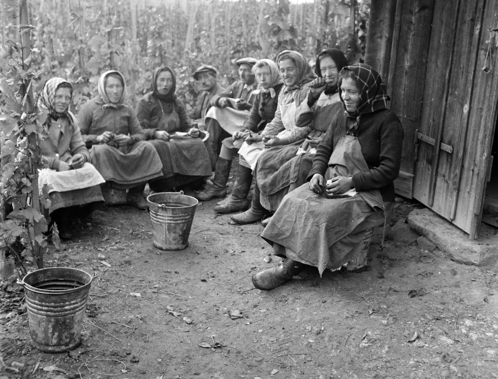 1940, Vargha Zsuzsa, meal, harvest, Fortepan #273473