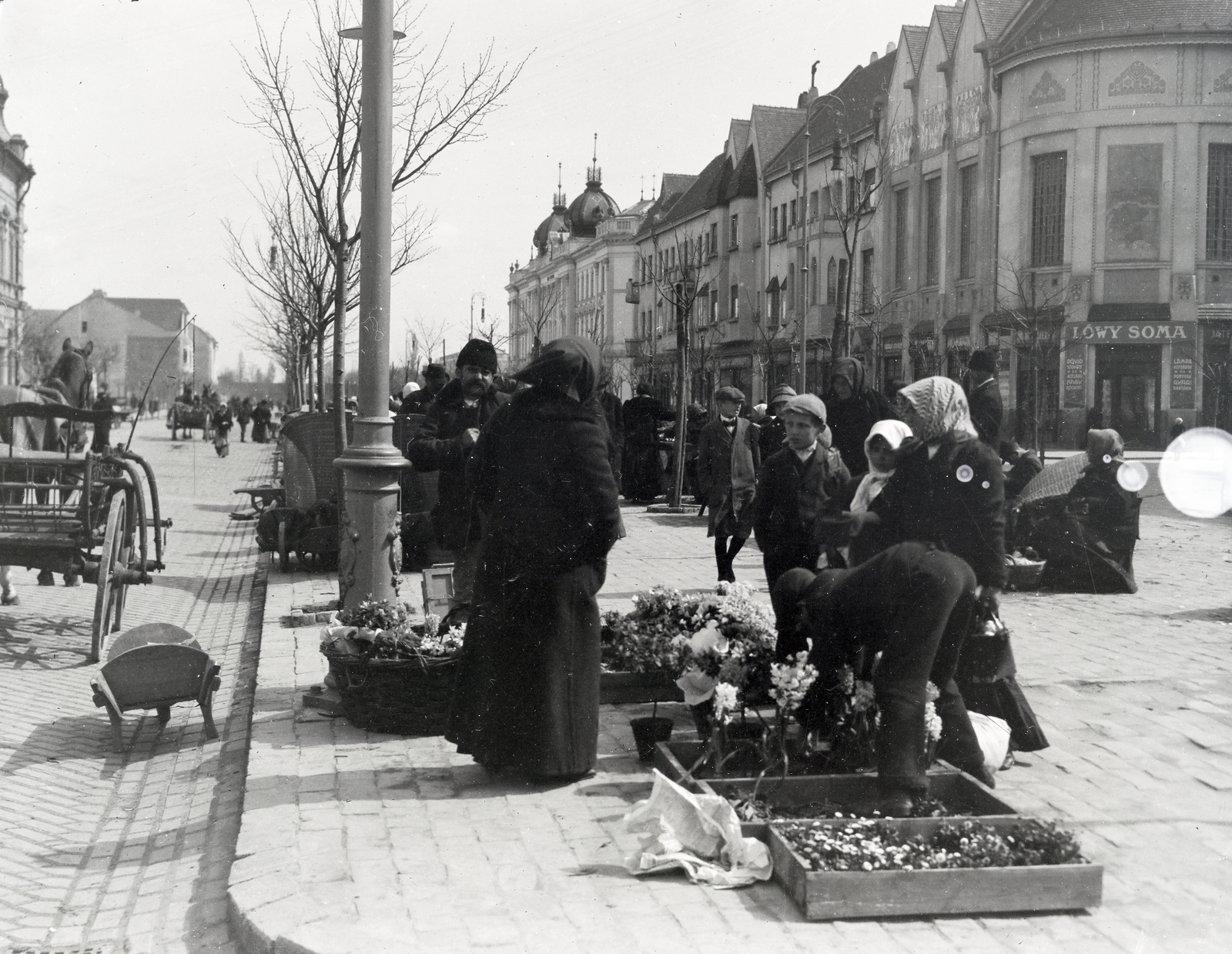 Magyarország, Kecskemét, piac a Rákóczi úton, a háttérben a Kaszinó és a gazdasági egyesület székháza, valamint a törvényszék épülete., 1916, Vargha Zsuzsa, virágárus, piac, Fortepan #273534