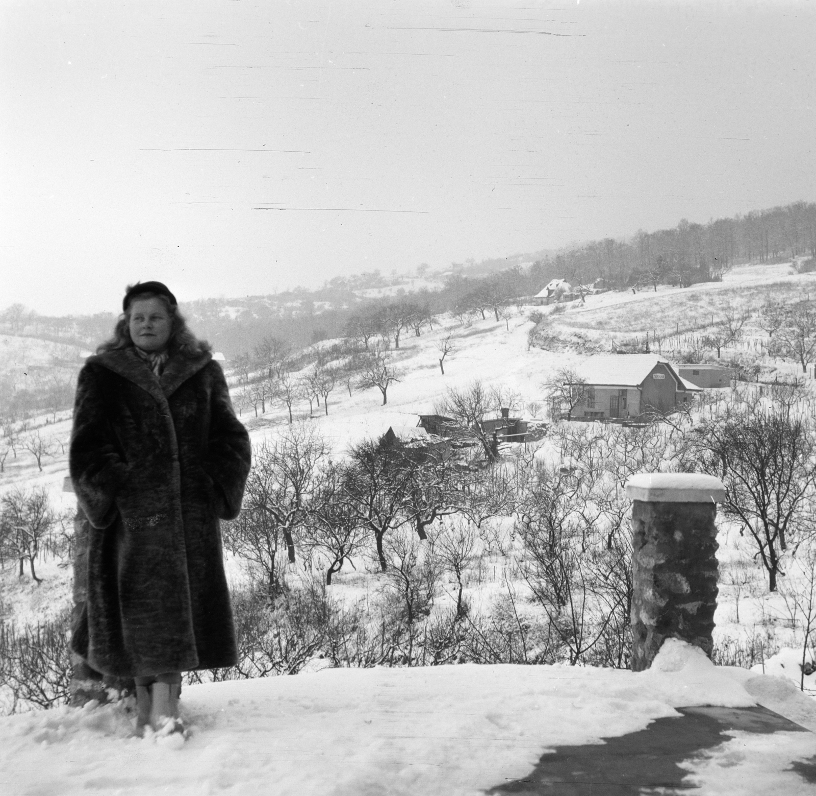 Hungary, Budapest XI., a felvétel a Kakukkhegyi út 18. számú telken készült., 1957, Vajda Márton, Budapest, lady, snowy landscape, fur coat, Fortepan #273583