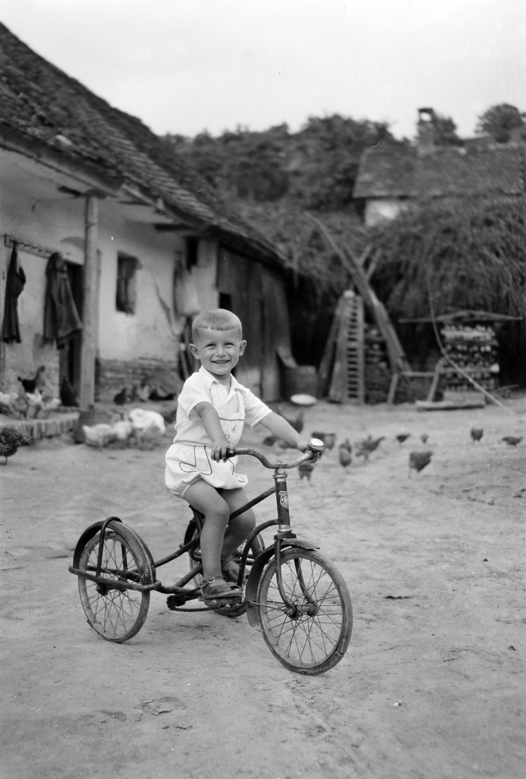 1958, Vajda Márton, poultry, kids' tricycles, kid, Fortepan #273591