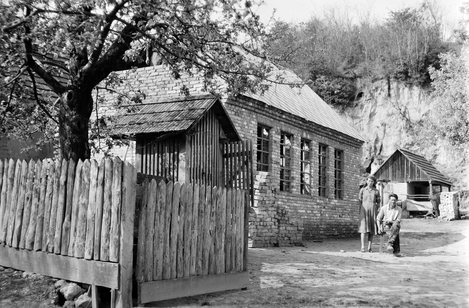 Magyarország, Szárazd, 1950, Vajda Márton, hölgy, udvar, lakóház, úriember, kukoricagóré, Fortepan #273643