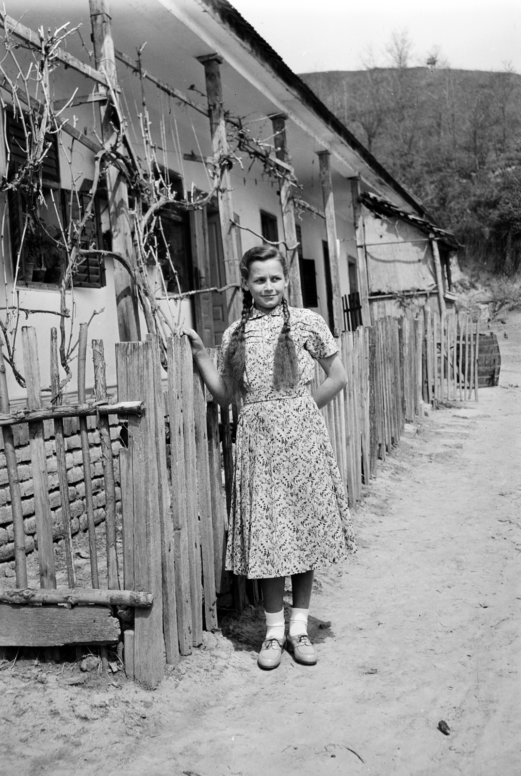 Magyarország, Szárazd, 1950, Vajda Márton, hölgy, nyári ruha, hajfonat, szőlőtőke, falu, léckerítés, Fortepan #273644