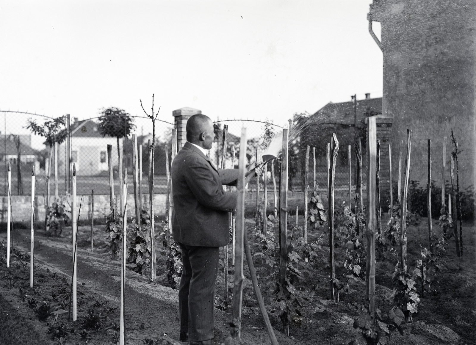 Hungary, Budapest XVIII., Németh József (Bánffy Dezső) utca 29. számú ház kertje., 1934, Tamássy Andrea, Budapest, Fortepan #273672