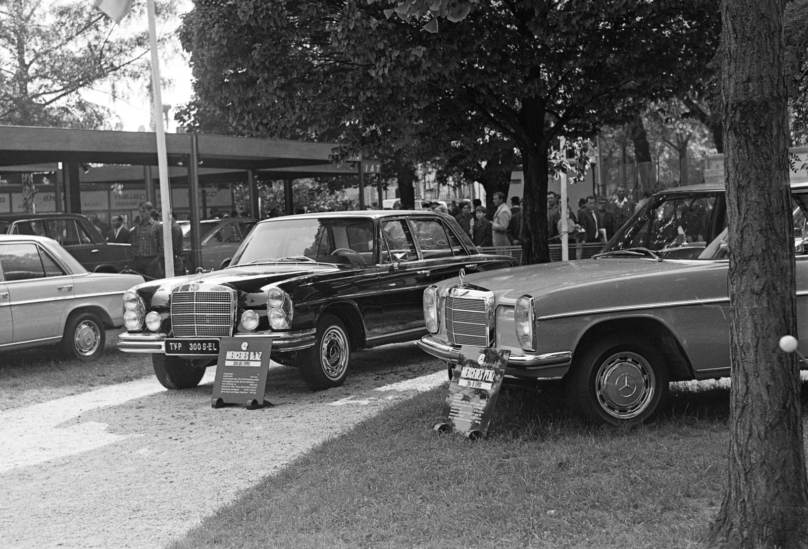 Magyarország, Városliget,Budapesti Nemzetközi Vásár, Budapest XIV., a Mercedes autógyár kiállítási területe., 1969, Szilvási hagyaték, Mercedes W115, Mercedes-márka, Mercedes W108, Budapest, Fortepan #273734