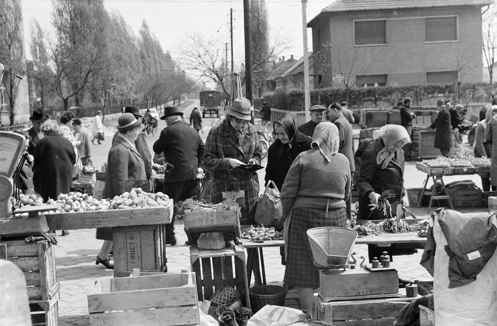 Magyarország, Budapest XXI., Táncsics Mihály utca, a csepeli piac. Szemben a József Attila utca., 1972, Szilvási hagyaték, Best of, piac, kalap, fejkendő, súly, kofa, mérleg, zöldség, vásárlás, háttal, Budapest, Fortepan #273743