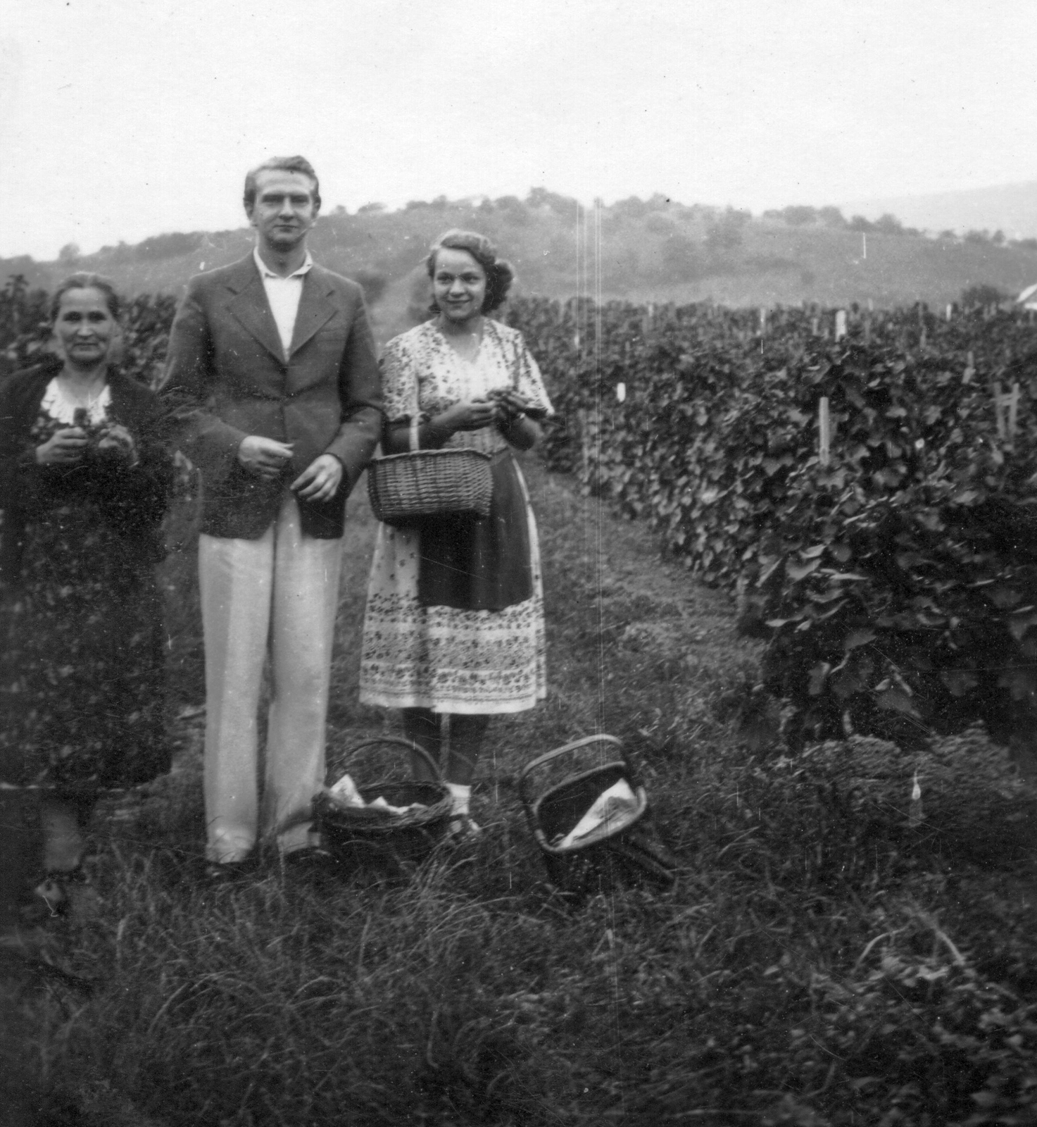 Ukraine,Zakarpattia Oblast, Berehove, 1940, Mészöly Leonóra, tableau, basket, grape, Fortepan #27385