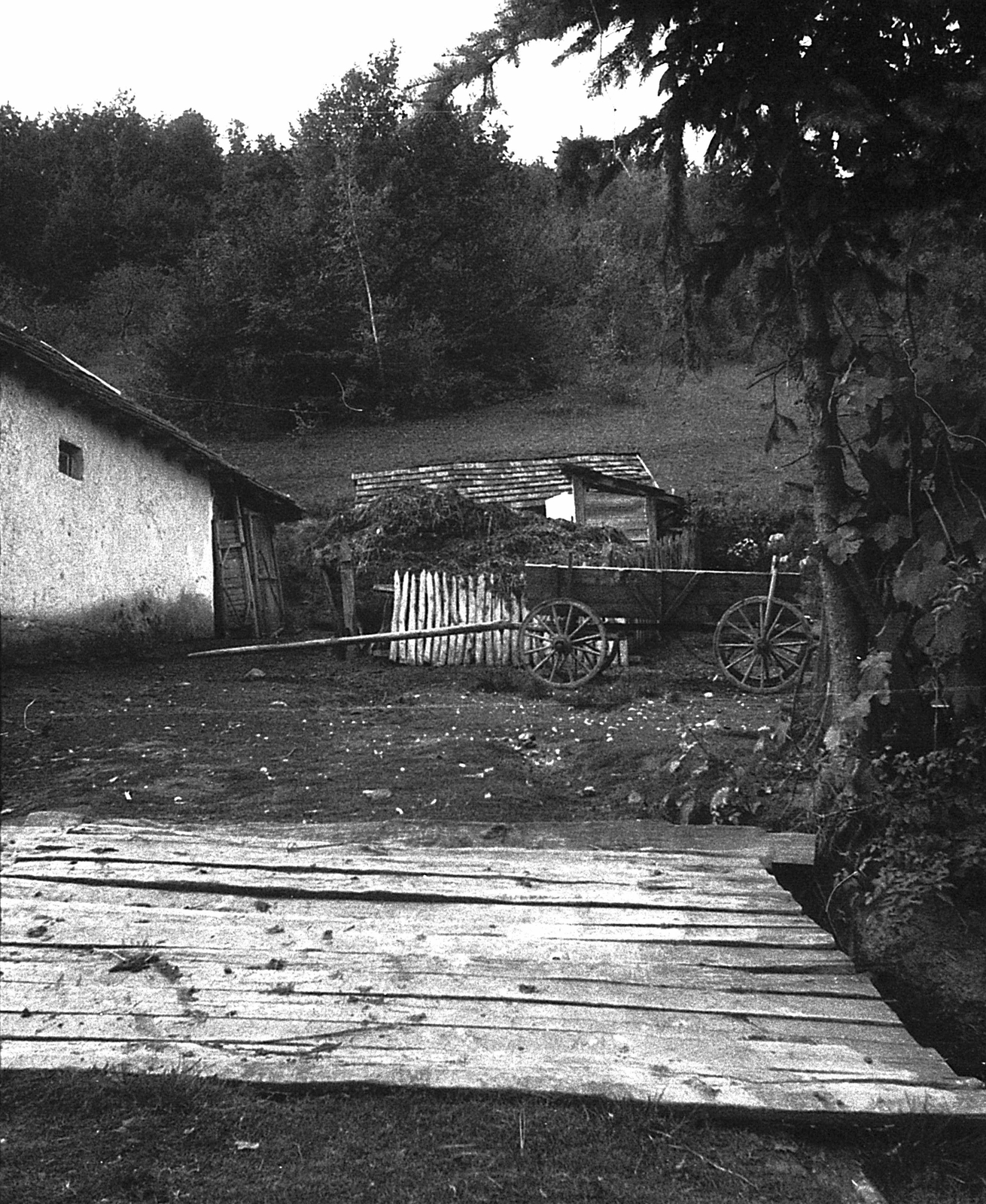 1976, Mészöly Leonóra, chariot, Fortepan #27401