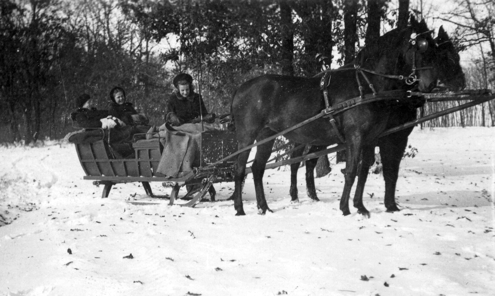 Hungary, Bagamér, 1942, Mészöly Leonóra, winter, snow, horse, teamster, sleigh, Fortepan #27461