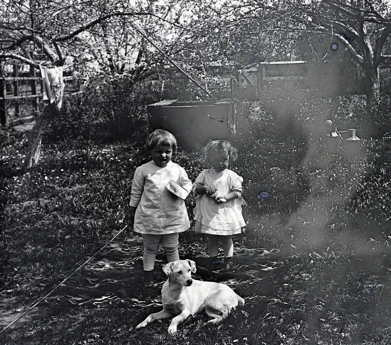 1916, Sibinger János, dog, girls, yard, white dress, Fortepan #274704