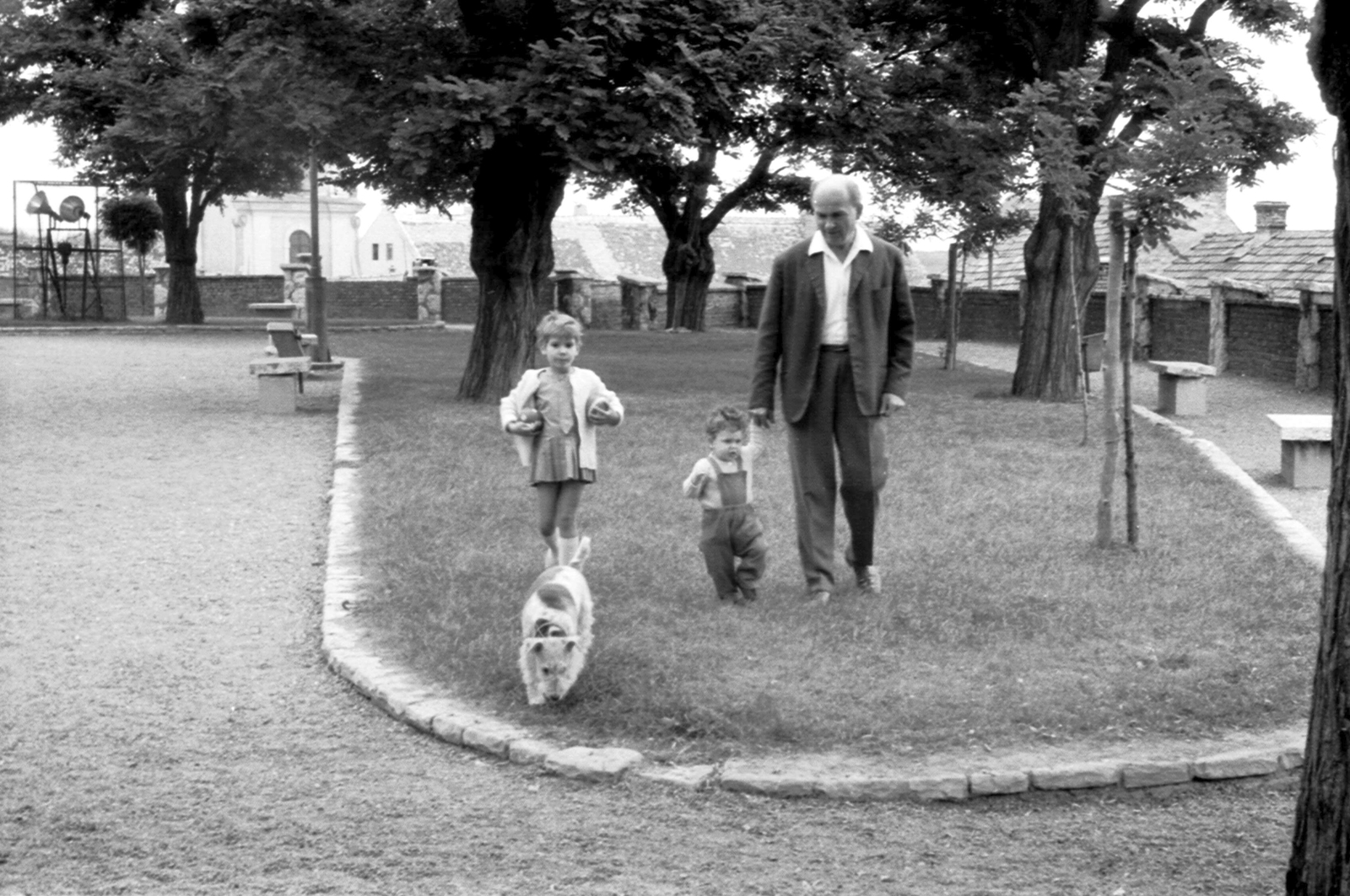 Hungary, Szentendre, Várdomb., 1966, Mészöly Leonóra, dog, kids, Fortepan #27482