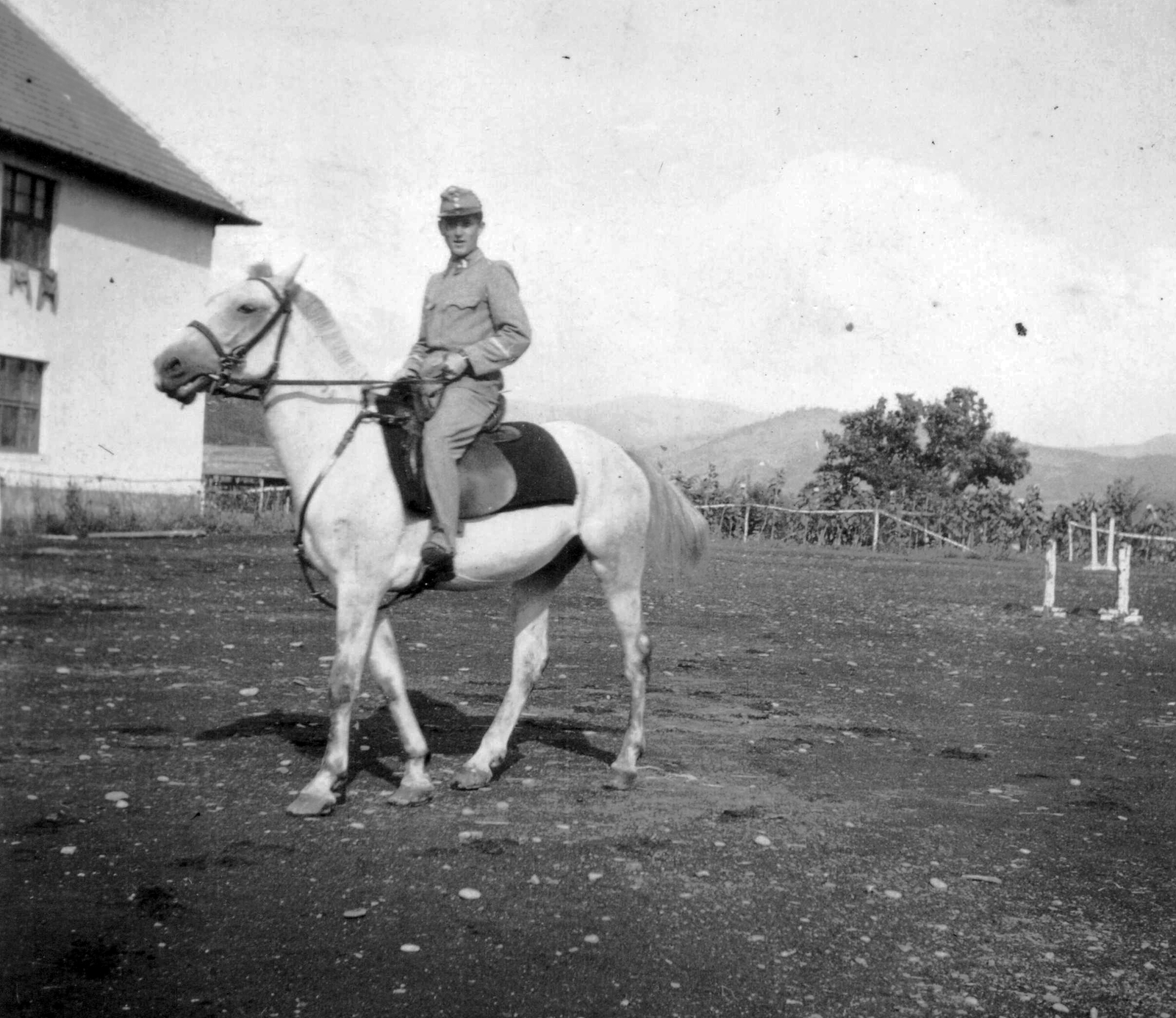 1942, Mészöly Leonóra, horse, Fortepan #27489