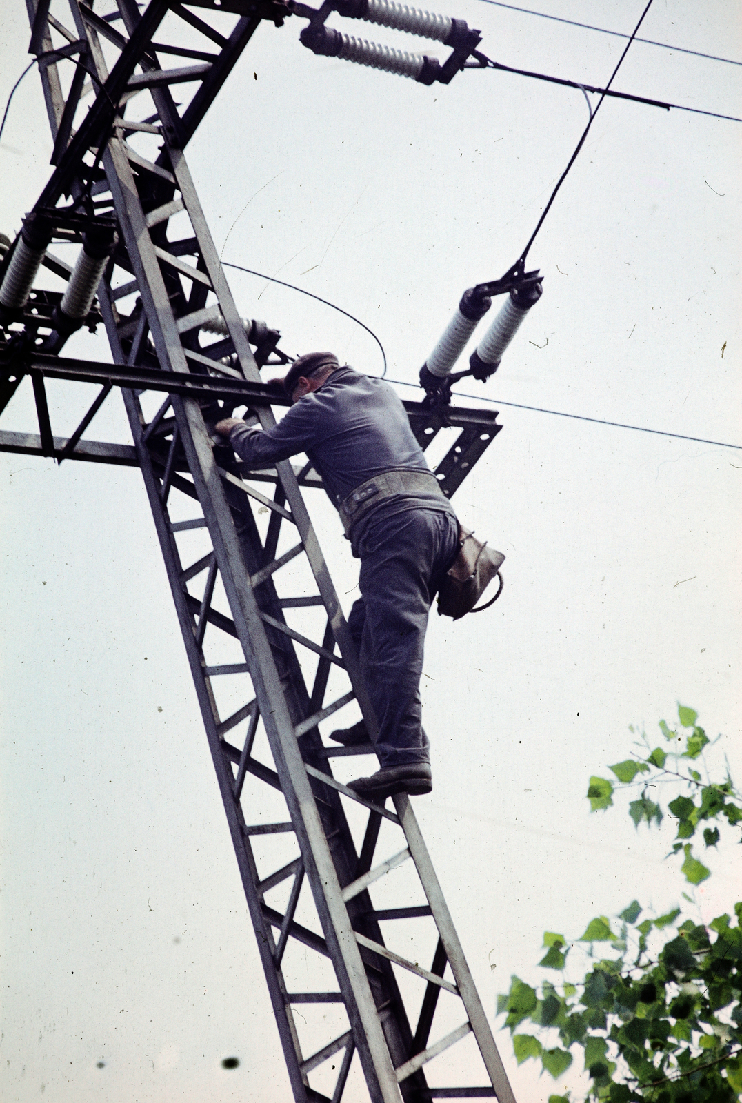 1971, Kristek Pál, pylon, electrician, electricity, porcelain insulators, bottom view, slanted, Fortepan #275010