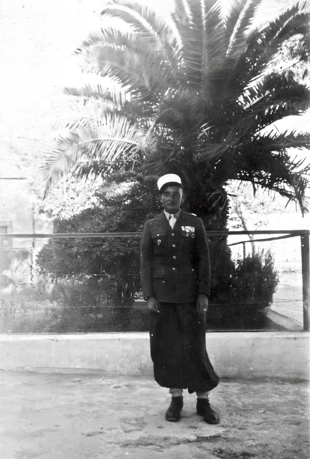 Algiers, 1948, Hózer Benjamin, soldier, medal, palm tree, Fortepan #275022