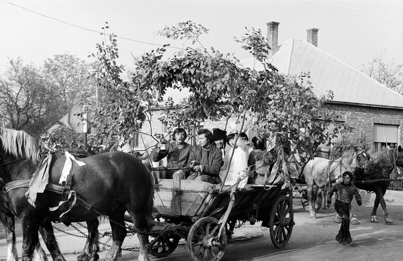 1976, Hajdú György, Horse-drawn carriage, wedding ceremony, Fortepan #275081