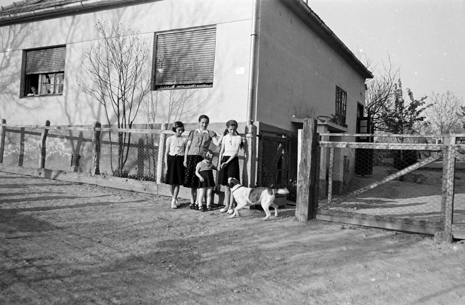 1958, Hajdú György, Kádár-cube, dog, girls, chain-link fence, Fortepan #275201