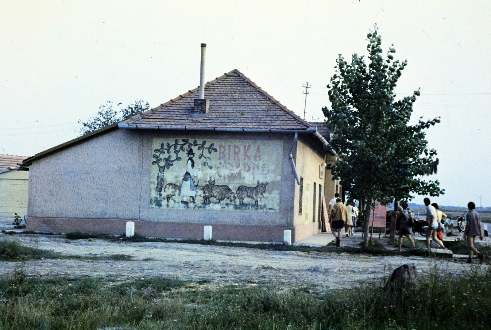 1972, Páldi Vince, Fortepan #275283