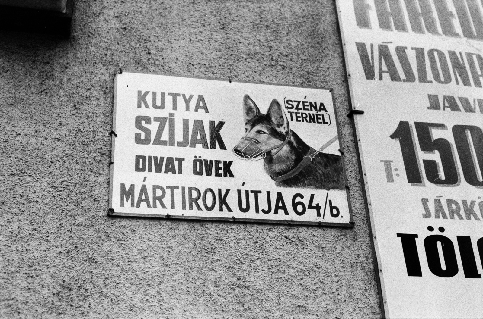 1983, Hidas Gyula, dog, leather goods, muzzle, enamel sign, Fortepan #275547
