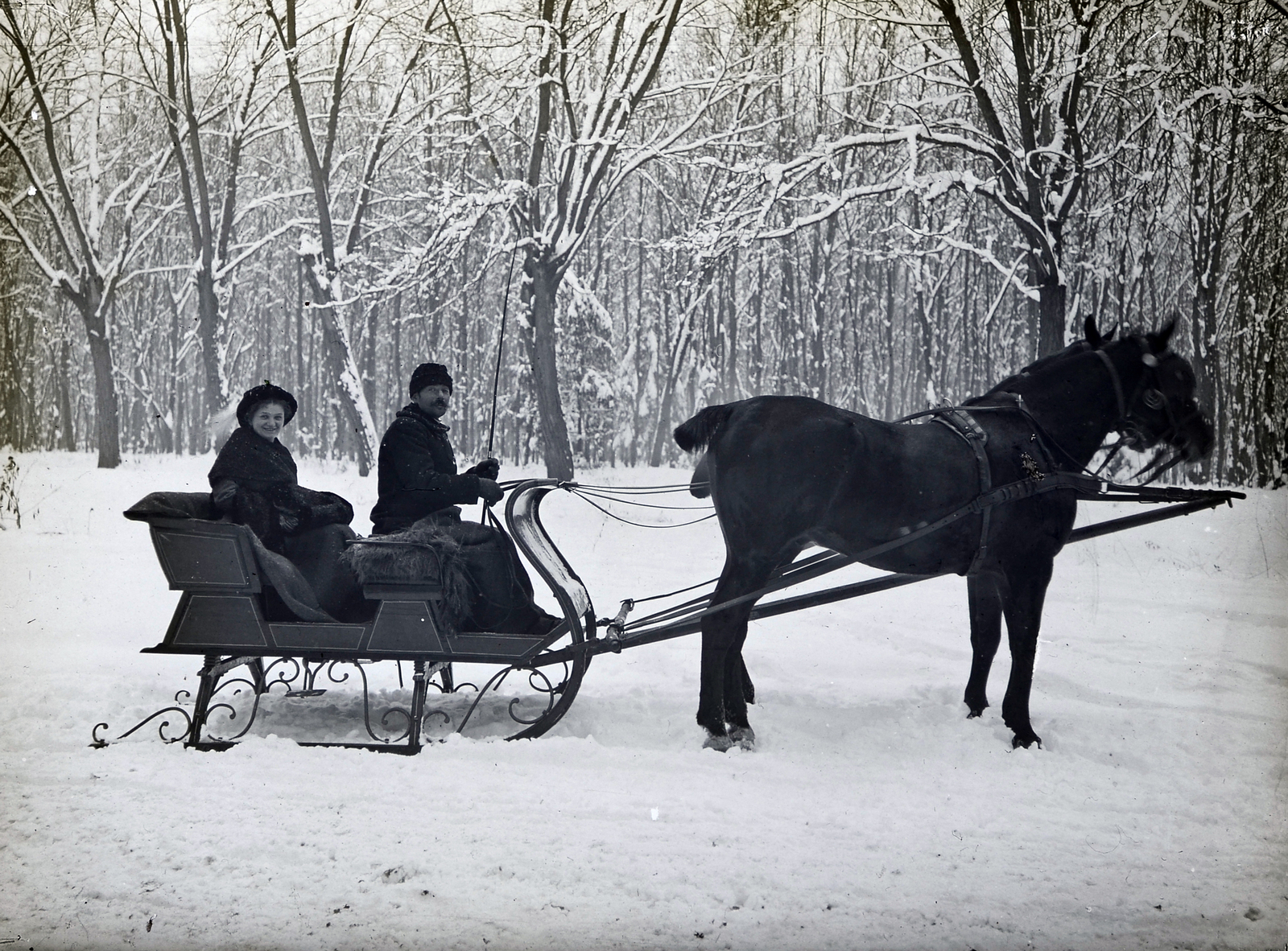 1909, Bojér Tibor, Best of, horse-drawn sleigh, Fortepan #276044