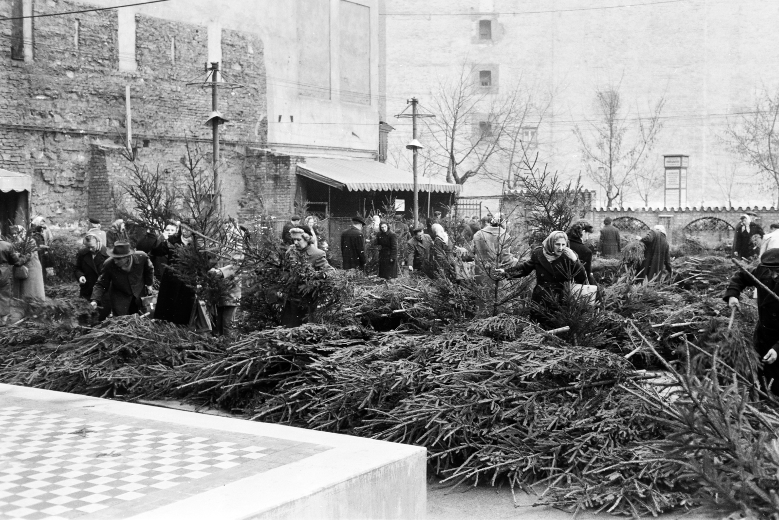 Hungary, Budapest V., Kálvin tér - Kecskeméti utca sarok, karácsonyfavásár a Városkapu vendéglő kerthelyiségében. Háttérben a Kecskeméti utca. Balra a pesti városfal maradványa., 1957, Hámori Gyula, Budapest, pine, Christmas, fair, Fortepan #276347