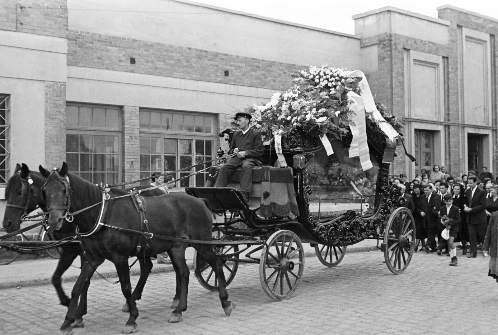 1954, Hámori Gyula, mourning coach, funeral procession, funeral, Fortepan #276638