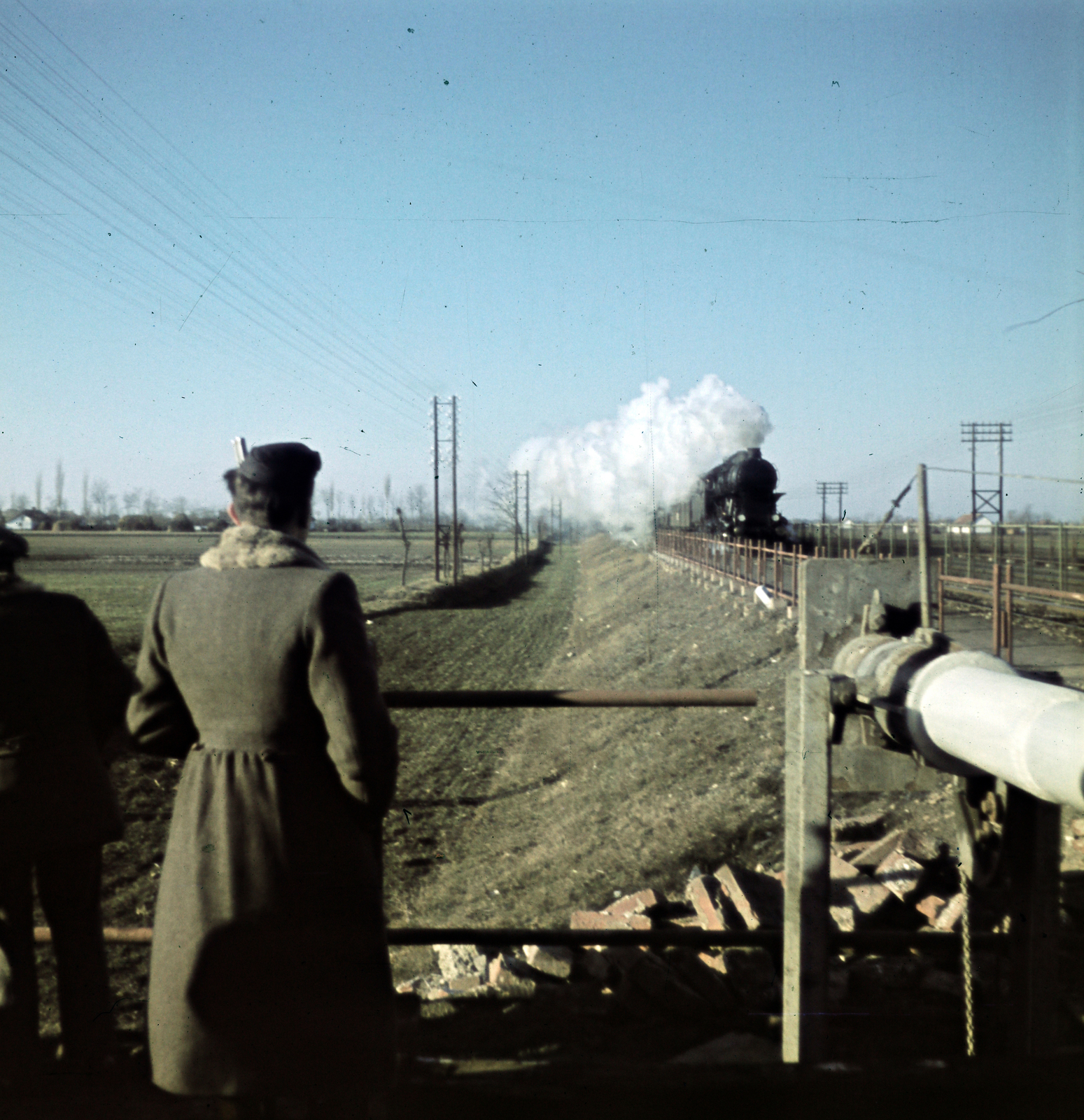 1942, Koncz Nándor, steam locomotive, colorful, back, Fortepan #276703