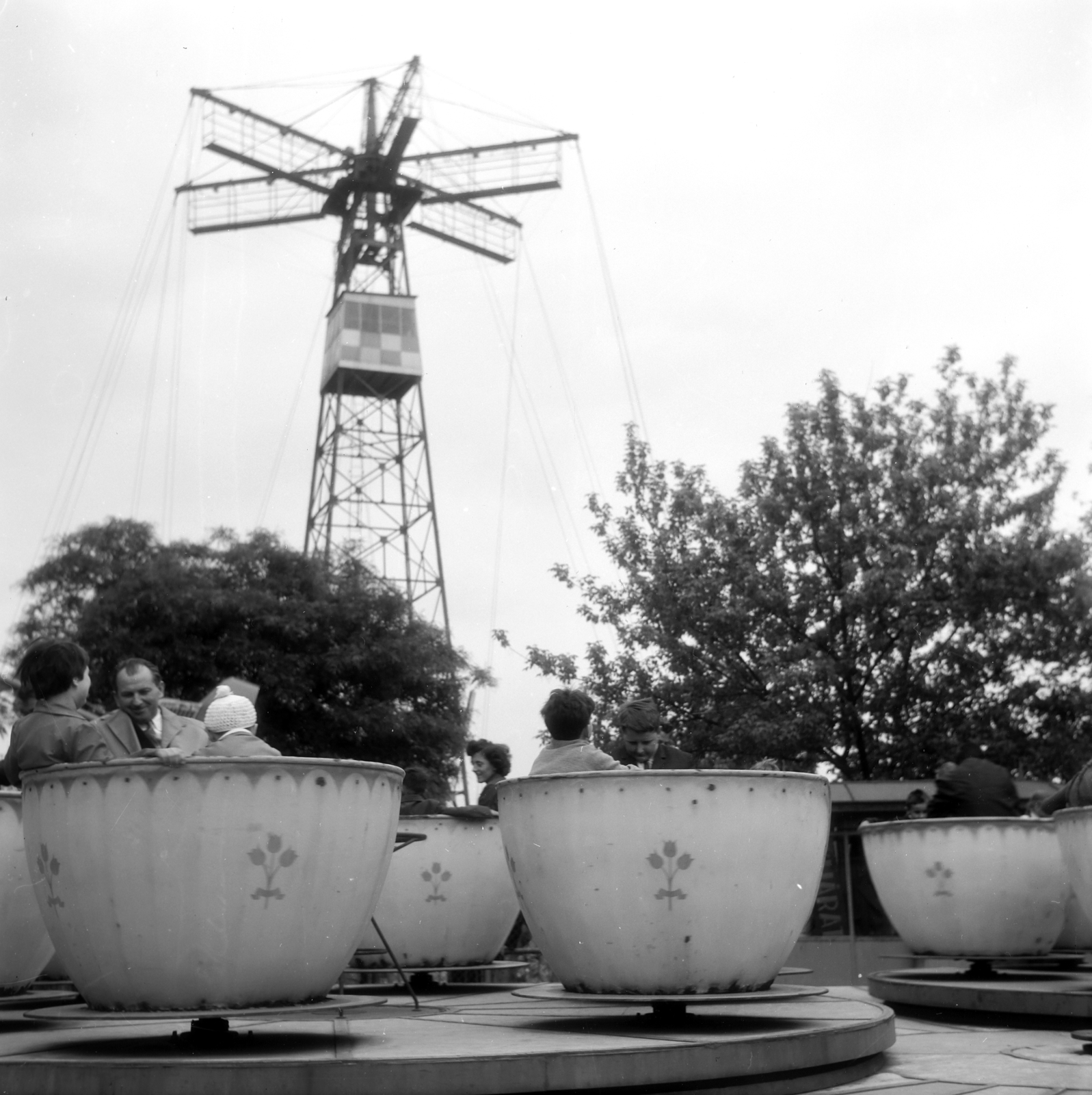 Hungary, Budapest XIV., Csésze körhinta, háttérben a Repülő., 1962, Németh Tamás, carousel, amusement park, Budapest, Fortepan #276971