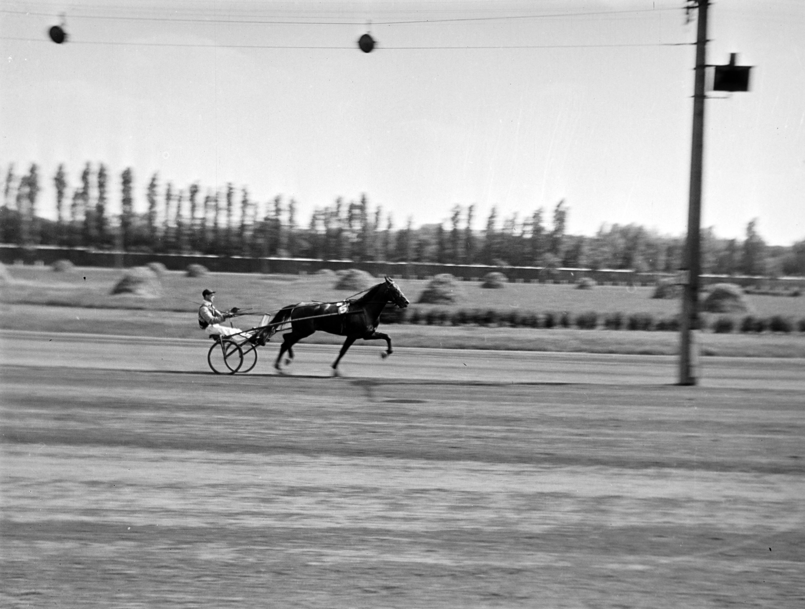 1969, Obetkó Miklós, ügető verseny, Fortepan #277003