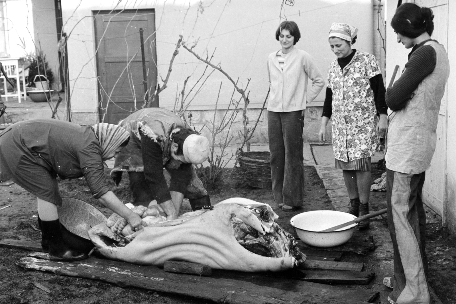 1975, Obetkó Miklós, pig slaughter, washbasin, Fortepan #277123