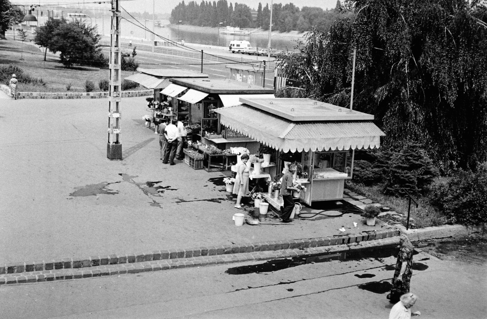 Magyarország, Budapest II., virágárusok a Margit híd budai hídfőjénél lévő villamos-végállomásnál, háttérben az Árpád fejedelem útja és a Margit-sziget., 1979, Obetkó Miklós, Budapest, Fortepan #277372