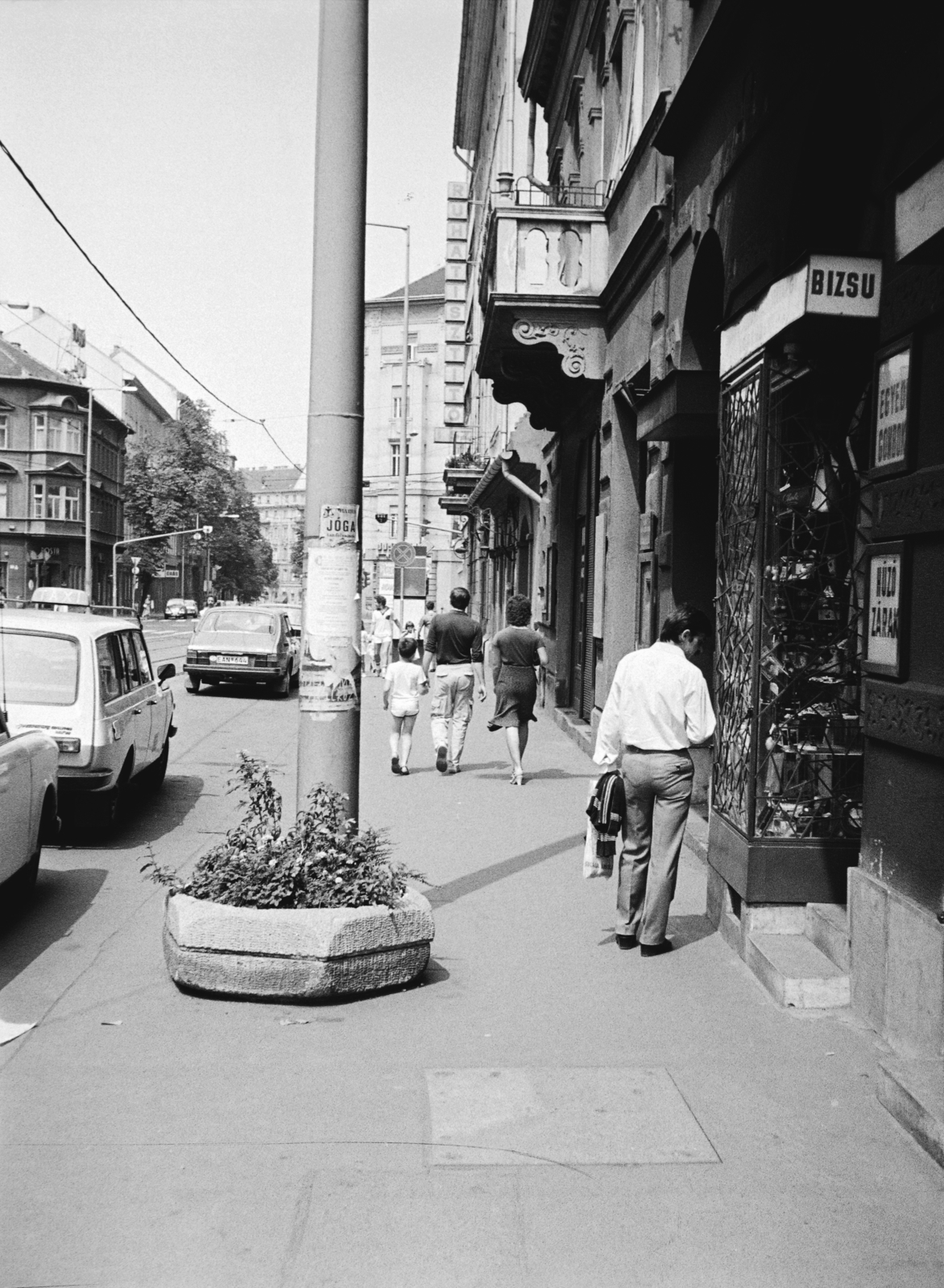 Hungary, Budapest II., Margit körút (Mártírok útja), a felvétel a 18. számú ház előtt készült, balra a Török utca sarkán álló ház látható., 1985, Obetkó Miklós, planter, street view, Budapest, Fortepan #277384