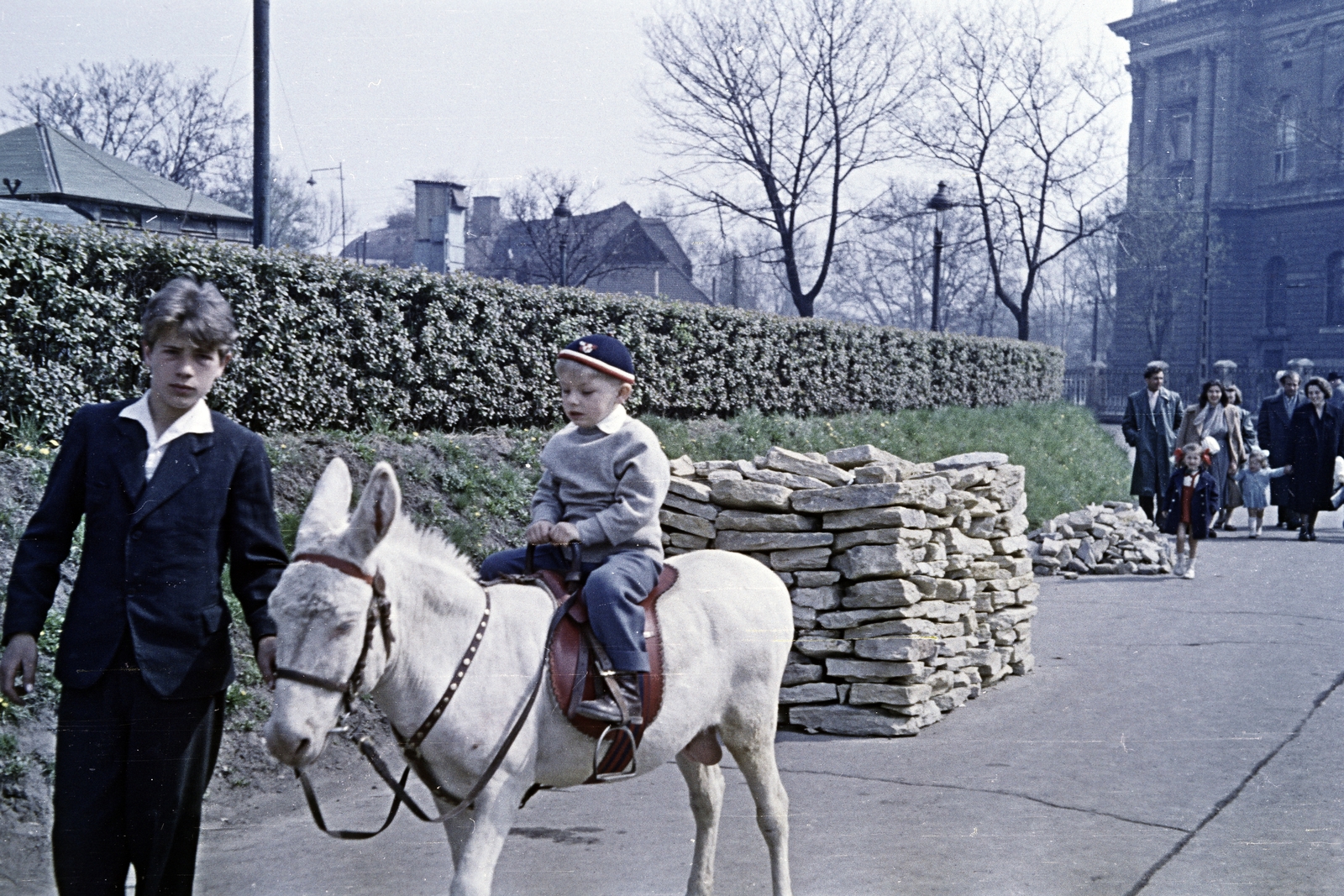 Hungary, Zoo, Budapest XIV., háttérben szemben a Gundel Étterem, jobbra a Gundel Károly (Állatkerti) út túloldalán a Szépművészeti Múzeum hátsó homlokzata látható., 1957, Obetkó Miklós, Budapest, colorful, kid, donkey, Best of, Fortepan #277499