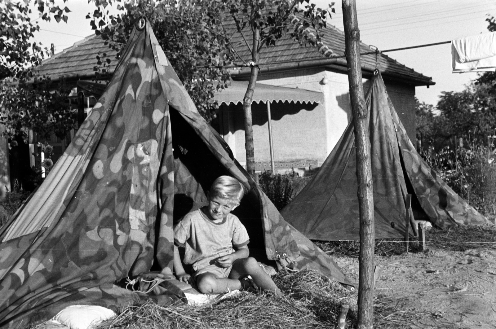 1958, Obetkó Miklós, sátor, terepminta, sátorlap, Fortepan #277521