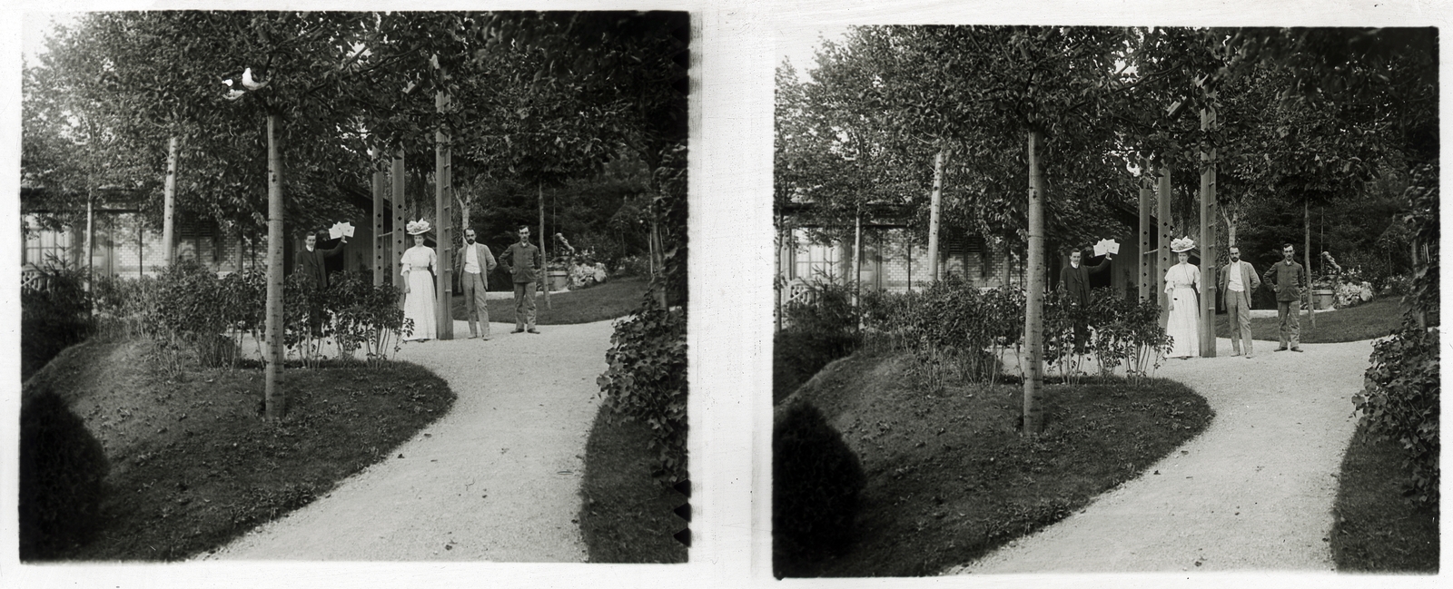 Magyarország, Gellérthegy, Budapest I., kert a Bérc utcánál., 1909, Schoch Frigyes, sztereófotó, Budapest, Fortepan #27797