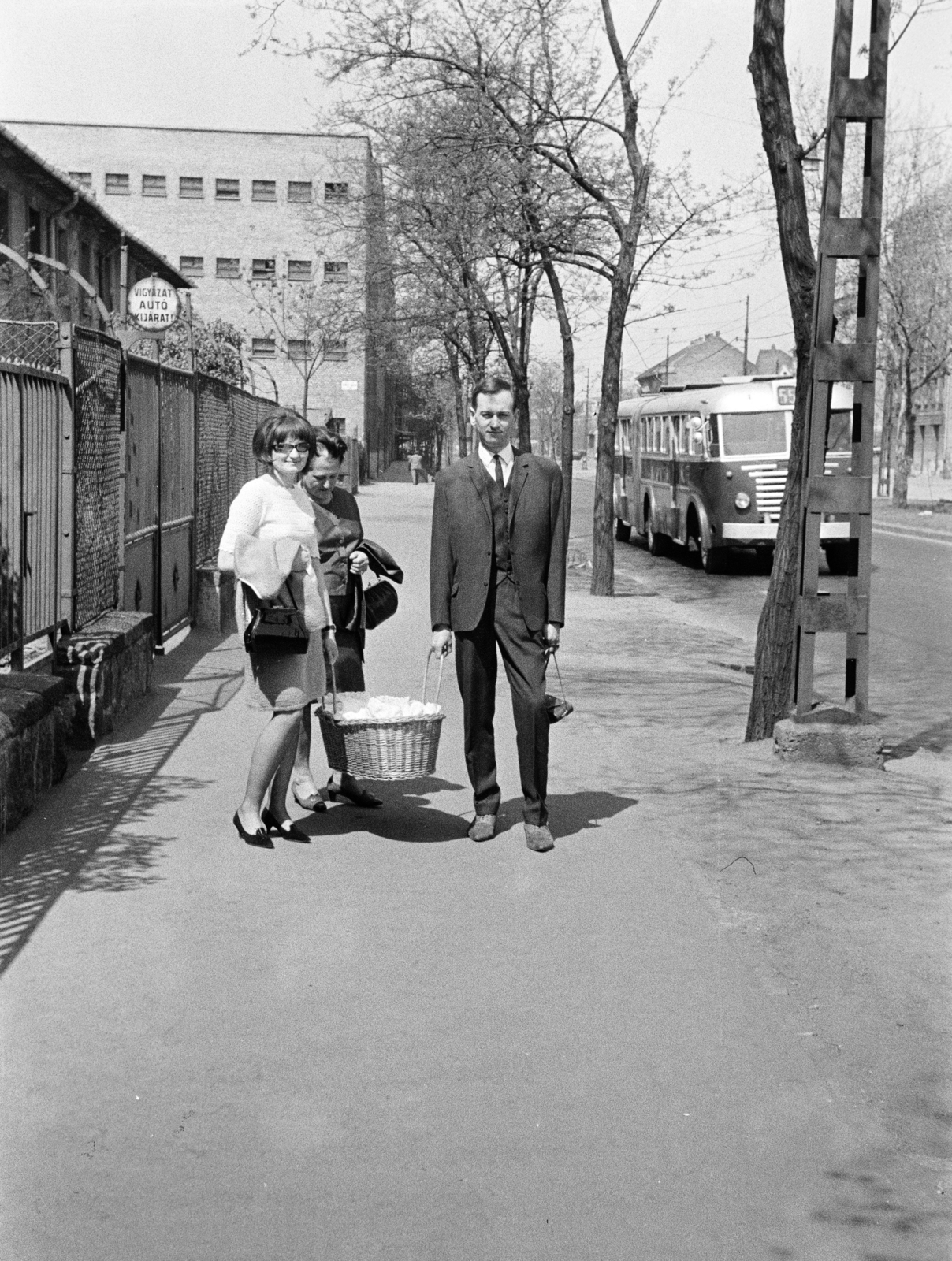 Hungary, Budapest XIV., Hungária körút, a felvétel a Semsey Andor utcai kereszteződés közelében készült, háttérben a Telefongyár épülete., 1965, Artfókusz, Best of, Budapest, bus, Fortepan #277989