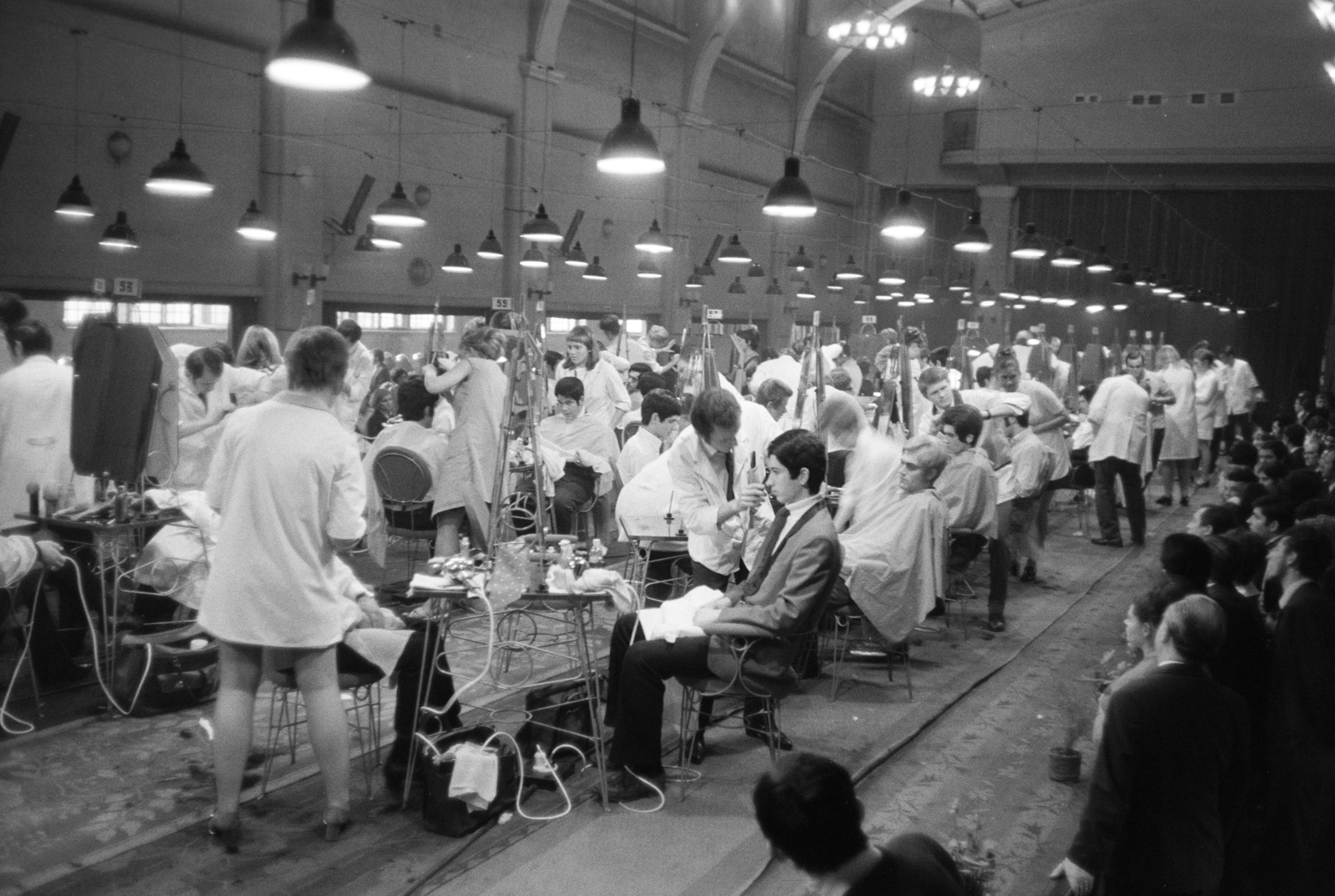 1970, Artfókusz, Fortepan #278087